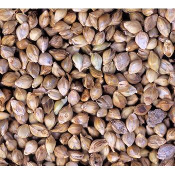 Johnston & Jeff Millet Japanese - North East Pet Shop Johnston & Jeff