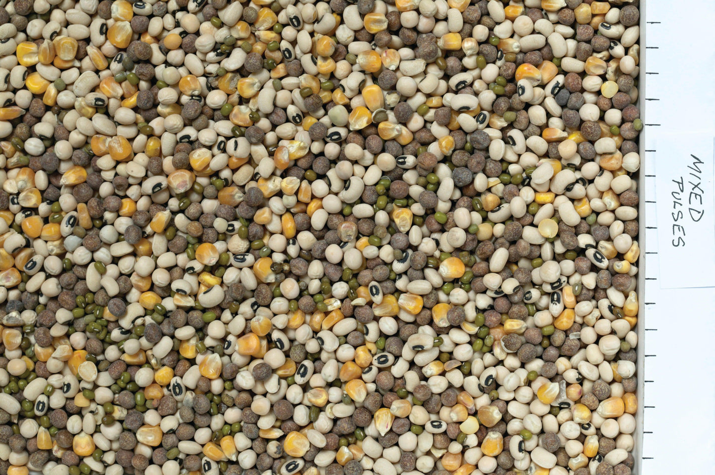 Johnston & Jeff Mixed Pulses - North East Pet Shop Johnston & Jeff