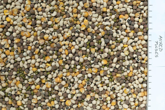 Johnston & Jeff Mixed Pulses - North East Pet Shop Johnston & Jeff