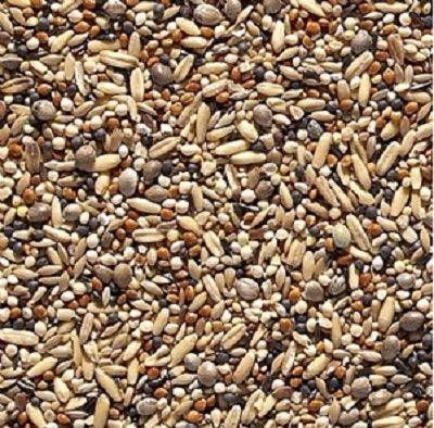 Johnston & Jeff Scottish Tonic Type 88 12.75kg - North East Pet Shop Johnston & Jeff