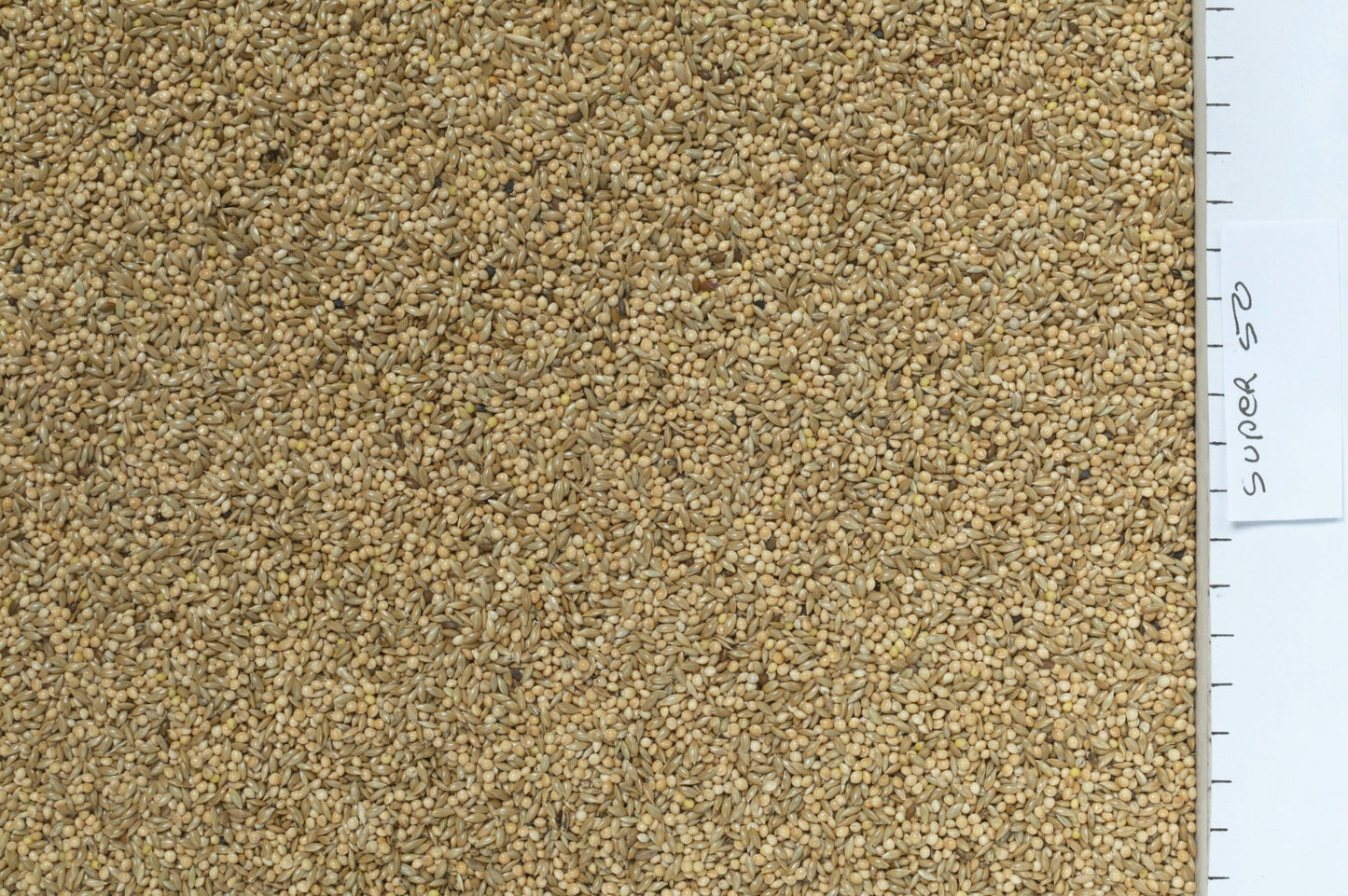 Johnston & Jeff Super 50 Budgieseed - North East Pet Shop Johnston & Jeff