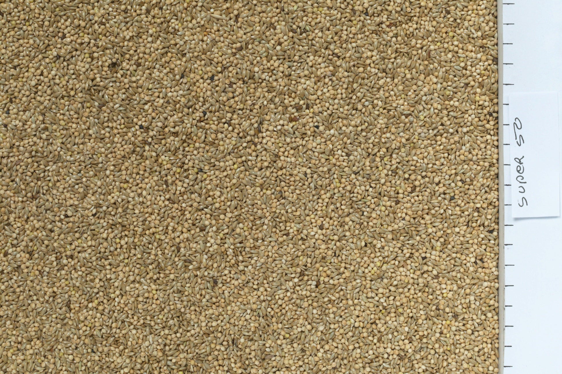 Johnston & Jeff Super 50 Budgieseed - North East Pet Shop Johnston & Jeff