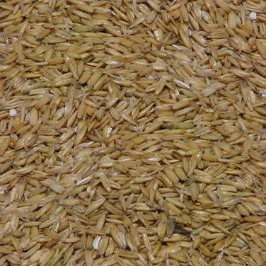 Johnston & Jeff Whole Groats - North East Pet Shop Johnston & Jeff