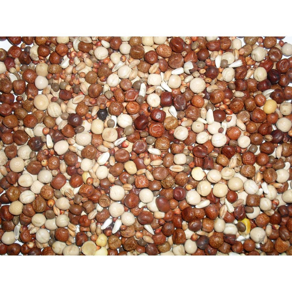 Johnston & Jeff Young Bird No Maize - North East Pet Shop Johnston & Jeff