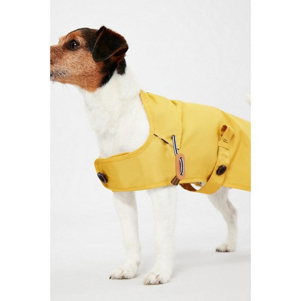 Joules Antique Gold Raincoat Medium - North East Pet Shop Joules