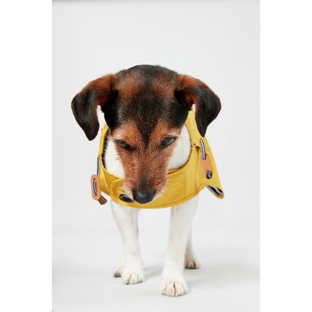 Joules Antique Gold Raincoat Small - North East Pet Shop Joules