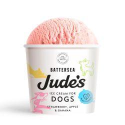Judes Dog Ice Cream, 90ml - North East Pet Shop Judes