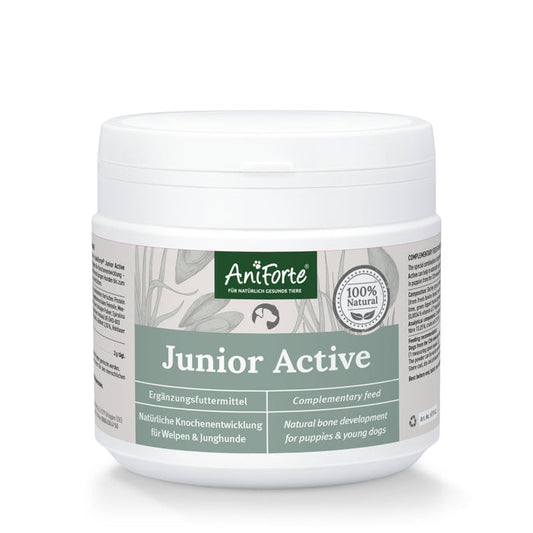 Junior Active Supplement 250g - Supports Healthy Development