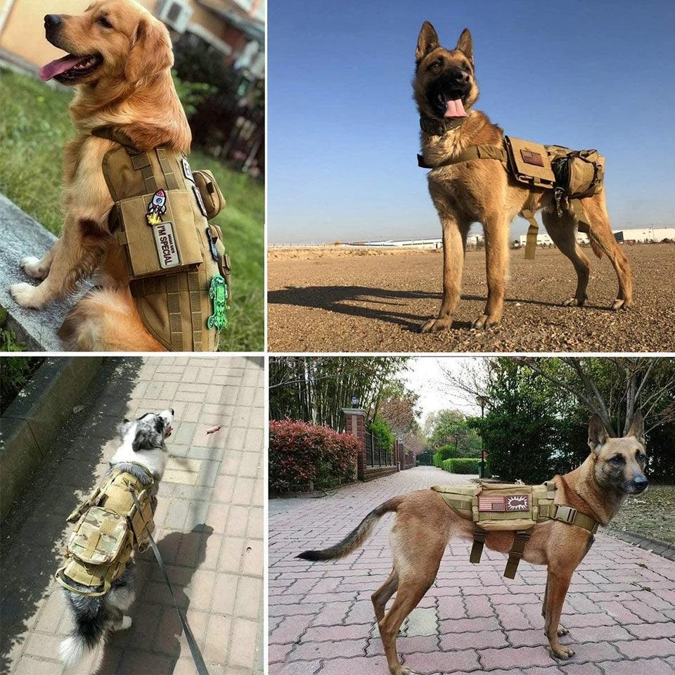 K9 dog harness online