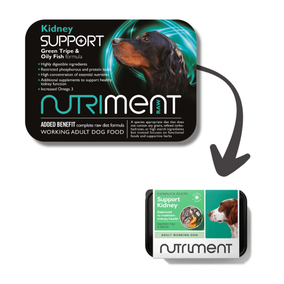 Kidney Support - 500g tub - North East Pet Shop Nutriment