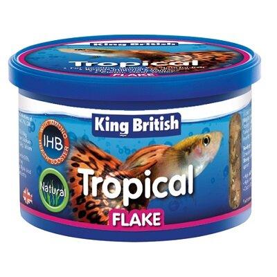 King British Tropical Flake with IHB 28g - North East Pet Shop King British
