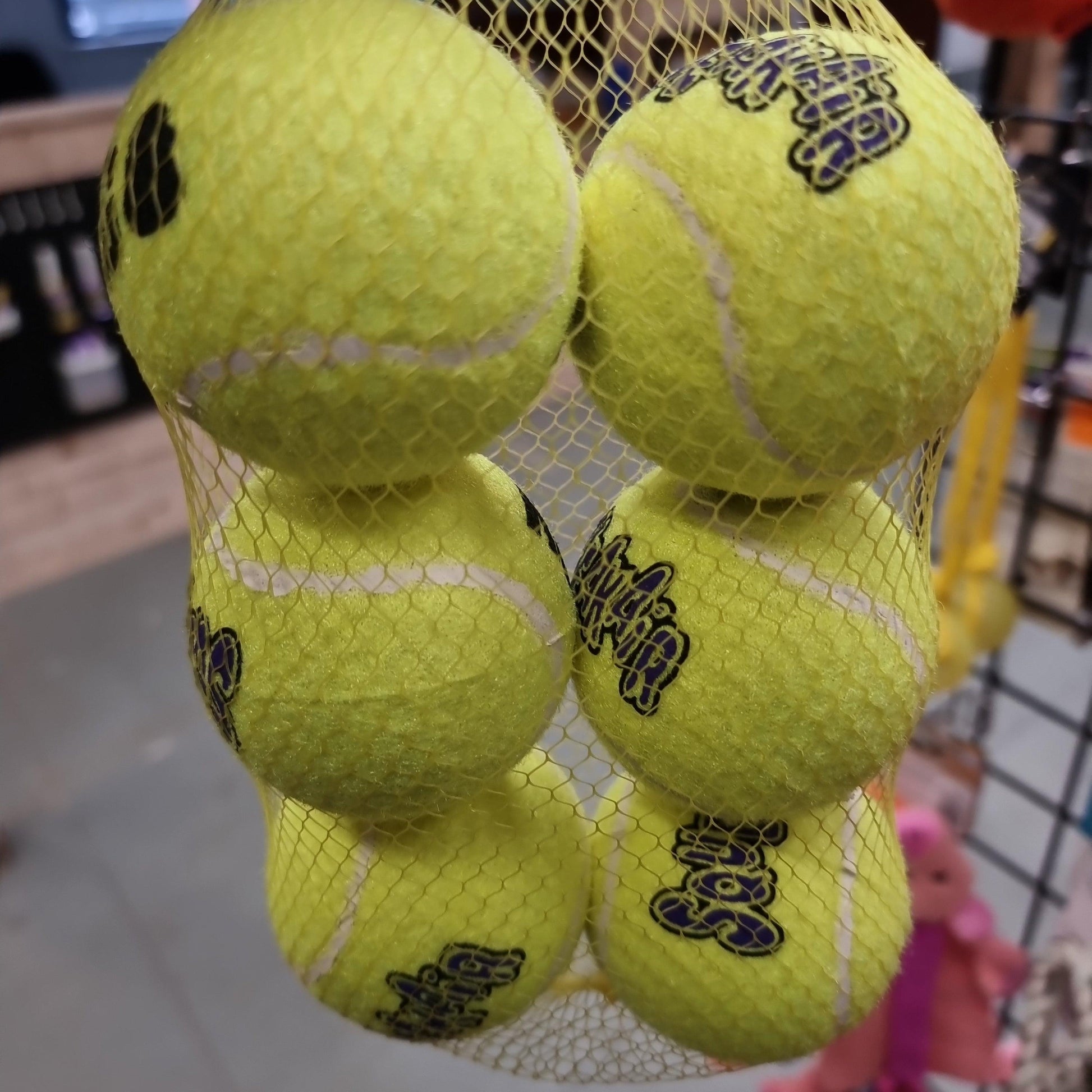 KONG Squeakair 6 Balls M - North East Pet Shop KONG