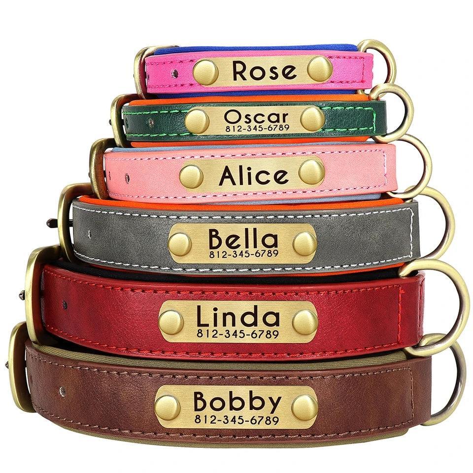 Leather Collar with Custom Tag - North East Pet Shop Dog Shack UK