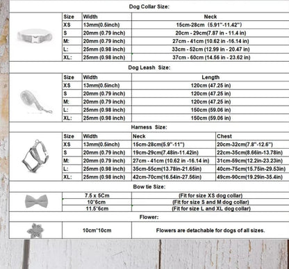 Leopard Print Dog Harness, Lead & Accessories - North East Pet Shop Dog Shack UK