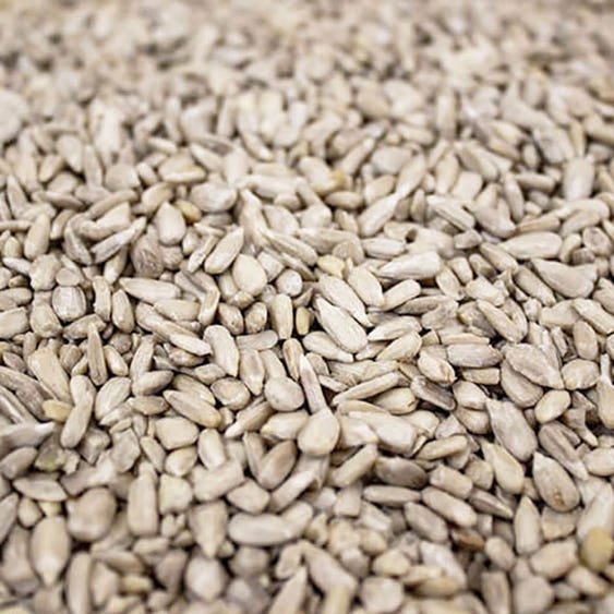 Sunflower Hearts 1kg - The North East Pet Shop