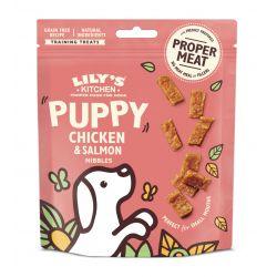 Lily's Kitchen Puppy Treats Chicken & Salmon, 70g - North East Pet Shop Lily's Kitchen