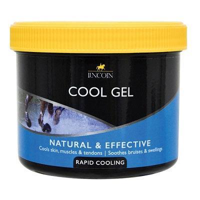 Lincoln Cool Gel - North East Pet Shop Lincoln