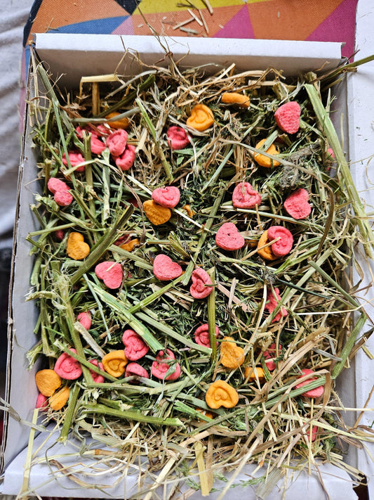 Love Heart Grazing Box - North East Pet Shop North East Pet Shop