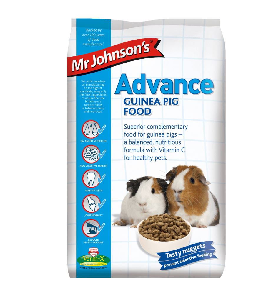 Mr Johnsons Advance Guinea - North East Pet Shop Mr Johnsons