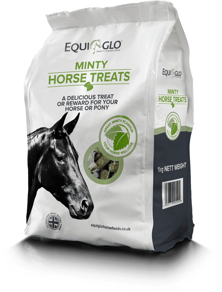 Mr Johnsons Equiglo Horse Treats & Herbs - North East Pet Shop Mr Johnsons