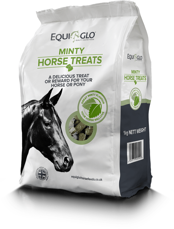 Mr Johnsons Equiglo Horse Treats & Herbs - North East Pet Shop Mr Johnsons