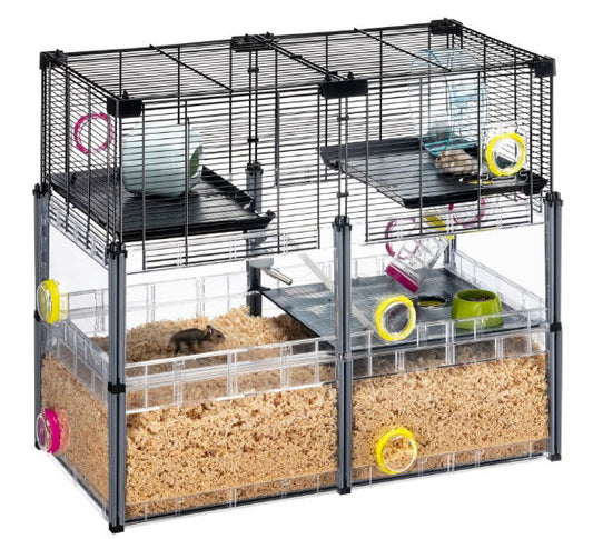 Multipla Hamster Crystal - North East Pet Shop Multipla