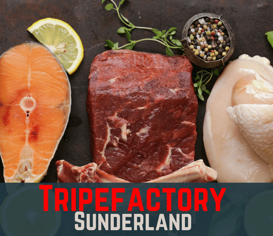 Natural Dried Dog Treats - Tripefactory Sunderland