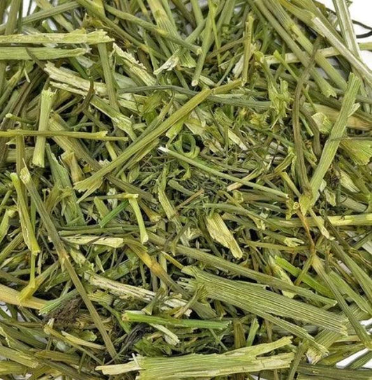 NEW Dill Stalks Grazing Bag - 100% Natural 500g - North East Pet Shop North East Pet Shop
