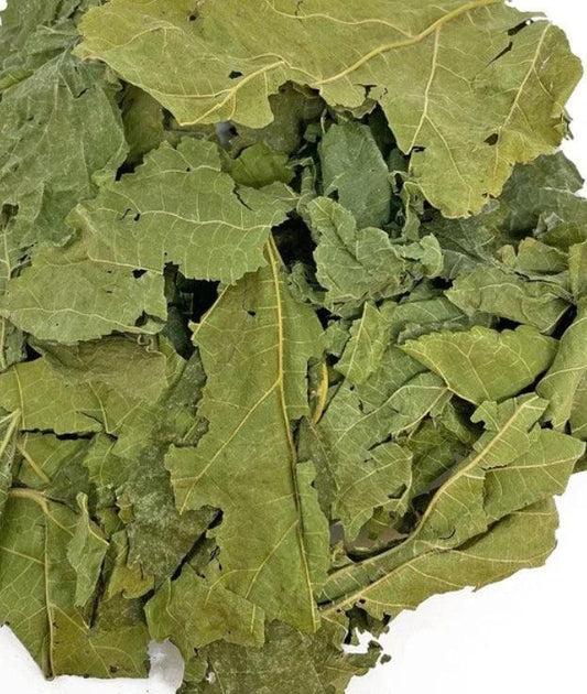 NEW Mulberry Leaves Grazing Bag - 100% Natural 200g - North East Pet Shop North East Pet Shop