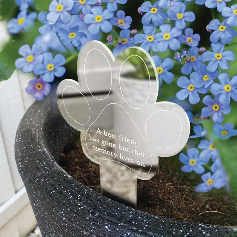 Oh So Precious Memorial Plant Marker With Seeds - North East Pet Shop Oh So Precious