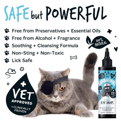 OOC Bugalugs Antiseptic Eye Drops - North East Pet Shop Bugalugs