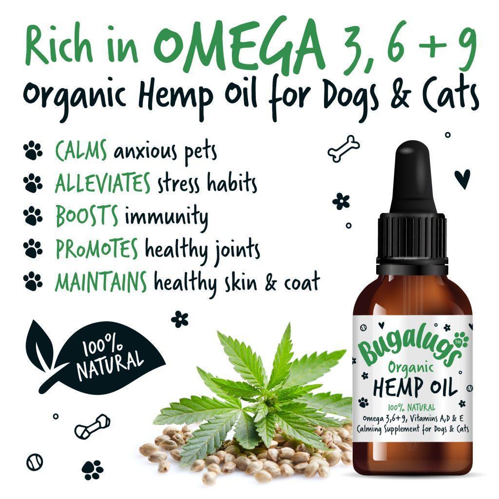OOC Bugalugs Hemp Oil - North East Pet Shop Bugalugs