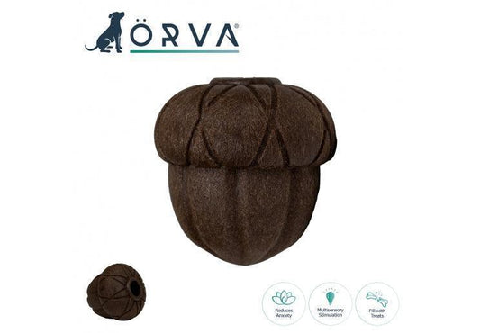 Orva Acorn - North East Pet Shop Ancol