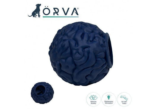 Orva Brain Ball - North East Pet Shop Ancol