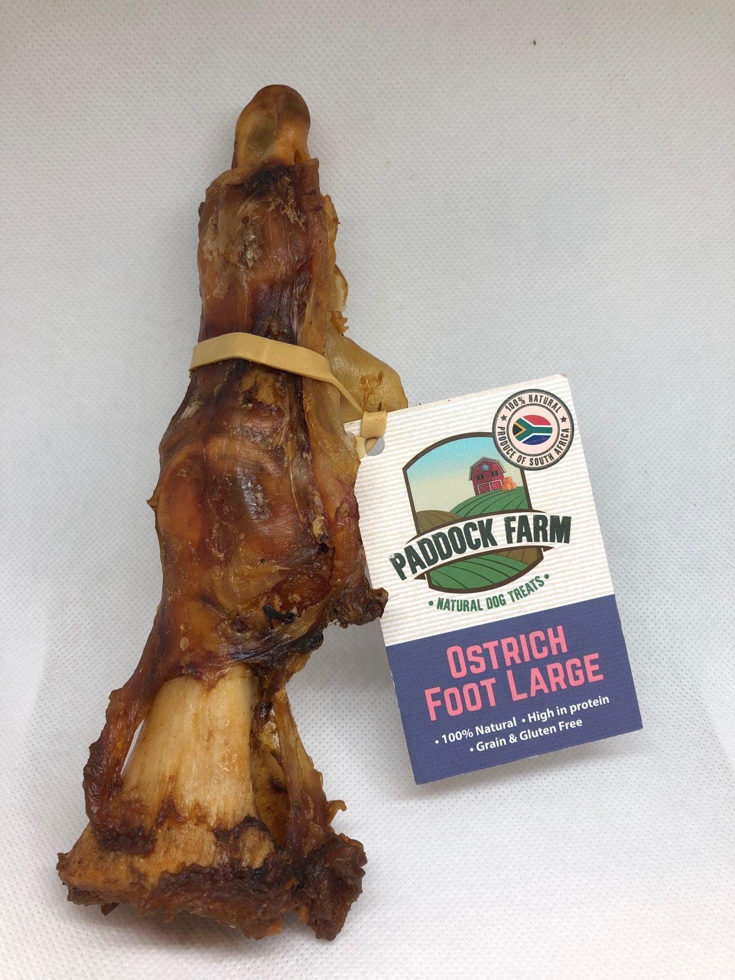 Ostrich Foot Large - North East Pet Shop Paddock Farm