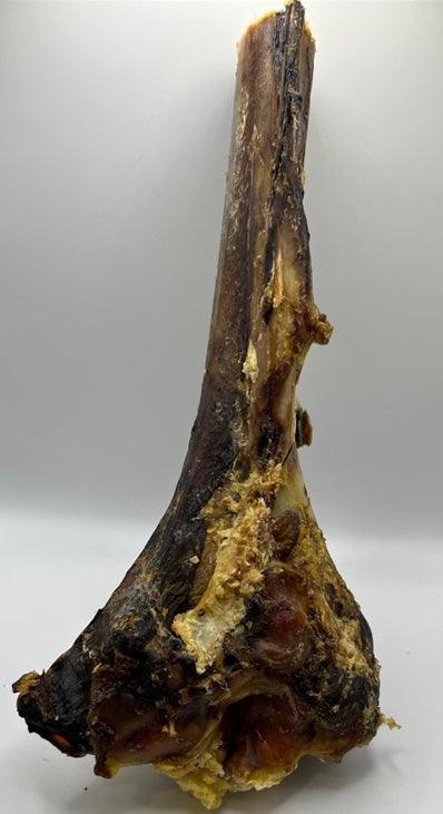 Ostrich Large Tibia Bone - North East Pet Shop Paddock Farm