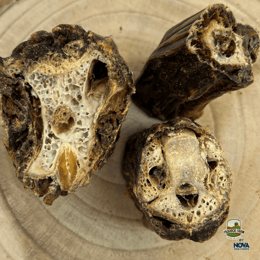 Ostrich Neck Slices - North East Pet Shop Dog Shack UK