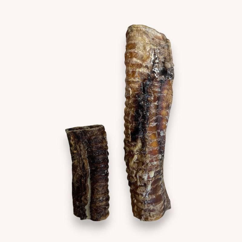 Ostrich Trachea - North East Pet Shop North East Pet Shop