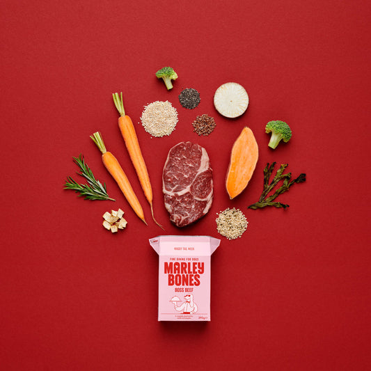 Pantry Fresh® Beef 390g x 12 - North East Pet Shop Marley Bones