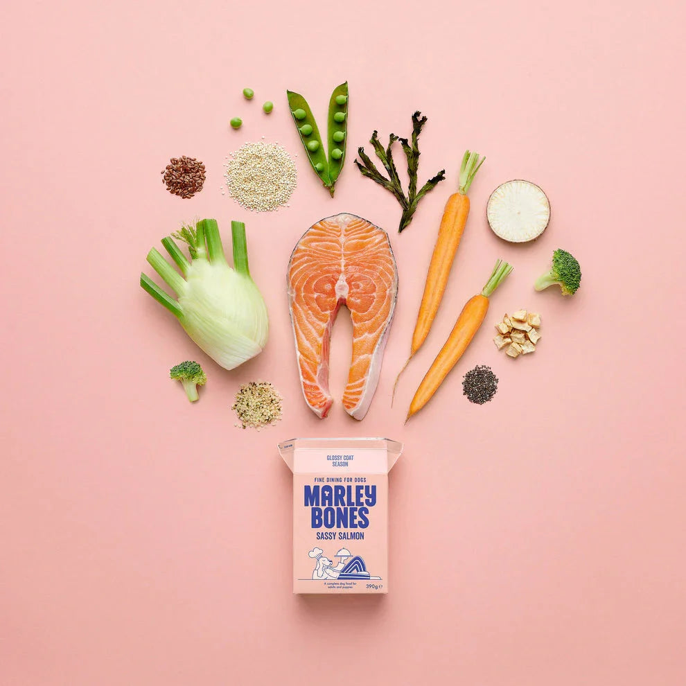 Pantry Fresh® Salmon 390g x 12 - North East Pet Shop Marley Bones