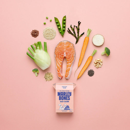 Pantry Fresh® Salmon 390g x 12 - North East Pet Shop Marley Bones