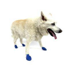 Pawz Dog Rubber Boots - North East Pet Shop Pawz