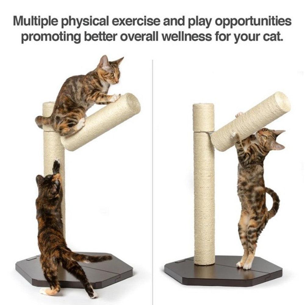 PetFusion Branch Out Scratching Post - North East Pet Shop PetFusion