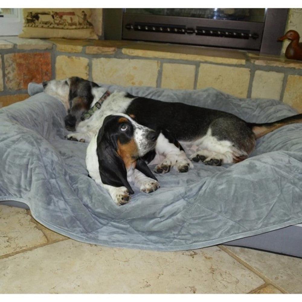 PetFusion Premium Plus Medium Dog Blanket 107x86cm Reversible - North East Pet Shop PetFusion