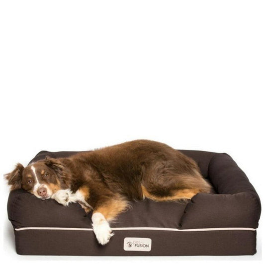 PetFusion Ultimate Solid Waterproof Memory Foam Dog Bed for Medium and Large Dogs - North East Pet Shop PetFusion