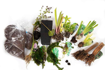 Pond Starter Packs - Pond topup Packs - Oxygenating - Compost and Pots Potted