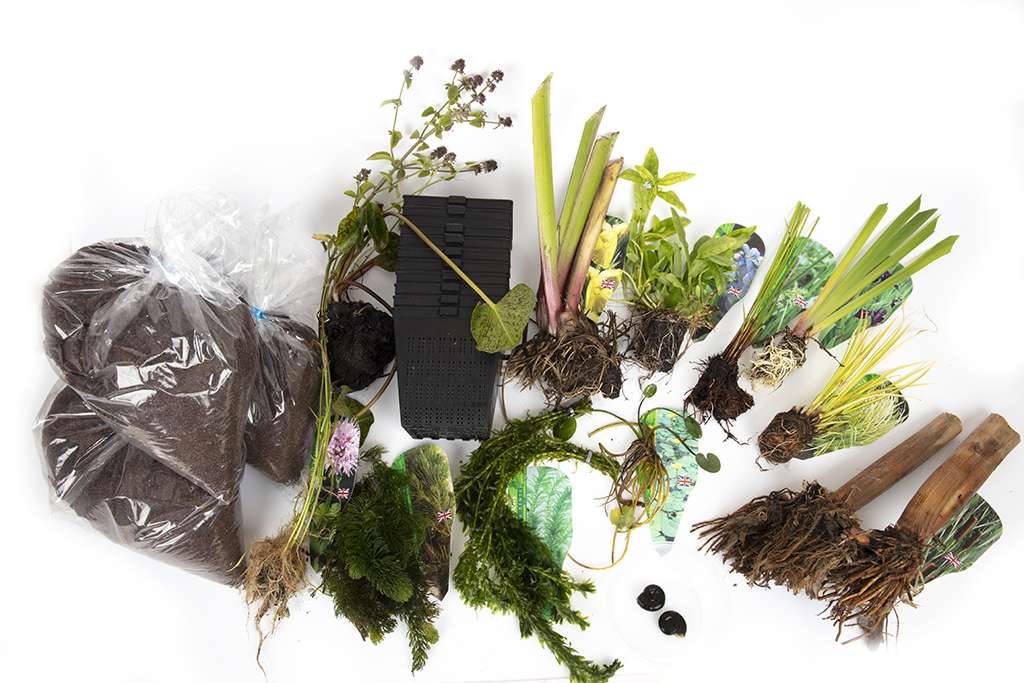 Pond Starter & top up Packs - Oxygenating - Compost and Pots