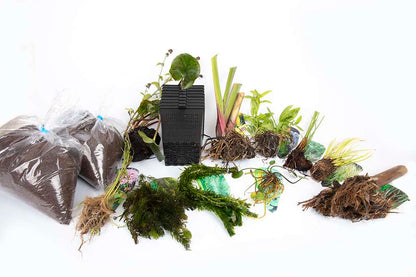 Pond Starter & top up Packs - Oxygenating - Compost and Pots