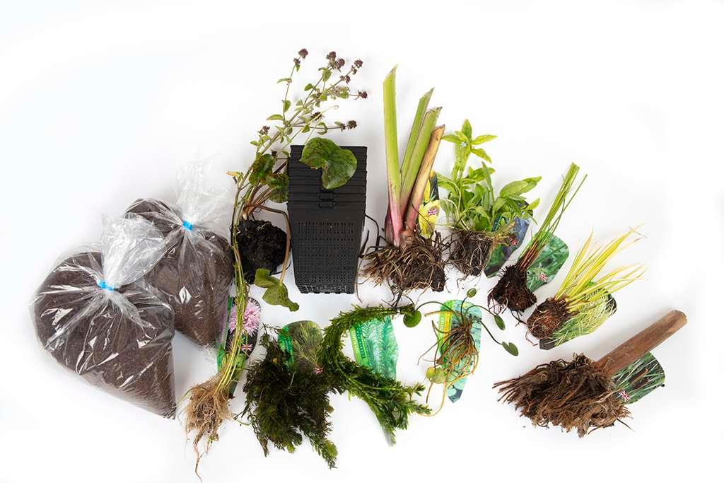 Pond Starter Packs - Pond topup Packs - Oxygenating - Compost and Pots Potted