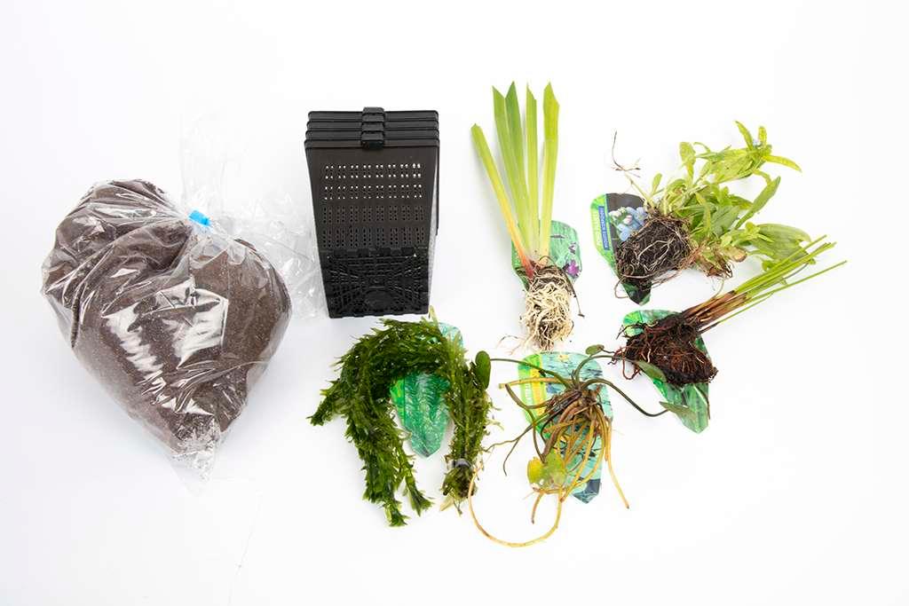 Pond Starter Packs - Pond topup Packs - Oxygenating - Compost and Pots Potted